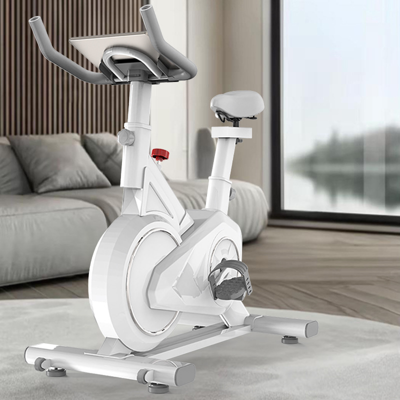 Akıllı İplik Bisikleti Ev Kapa - Exercise Bike Magnetic Resistance incelemesi ve fiyatı
